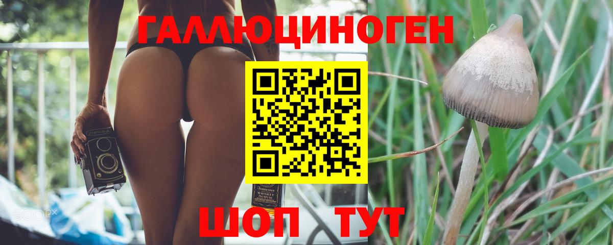 Псилоцибиновые грибы мицелий  где купить   Семёнов  Вход с VPN 